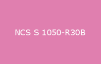 BELUSIL 030 Natursteinsilikon NCS S 1050 R30B