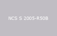 BELUSIL 030 Natursteinsilikon NCS S 2005 R50B