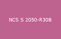 BELUSIL 030 Natursteinsilikon NCS S 2050 R30B