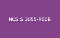 BELUSIL 030 Natursteinsilikon NCS S 3055 R50B