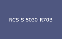 BELUSIL 030 Natursteinsilikon NCS S 5030 R70B