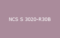 BELUSIL 030 Natursteinsilikon NCS S 3020 R30B