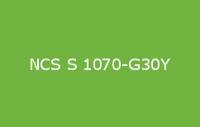 BELUSIL 030 Natursteinsilikon NCS S 1070 G30Y