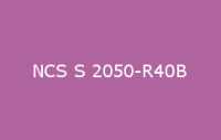 BELUSIL 030 Natursteinsilikon NCS S 2050 R40B