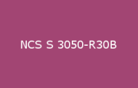 BELUSIL 030 Natursteinsilikon NCS S 3050 R30B