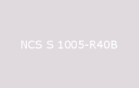 BELUSIL 030 Natursteinsilikon NCS S 1005 R40B