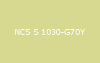 BELUSIL 030 Natursteinsilikon NCS S 1030 G70Y