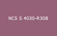 BELUSIL 030 Natursteinsilikon NCS S 4030 R30B