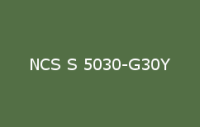 BELUSIL 030 Natursteinsilikon NCS S 5030 G30Y