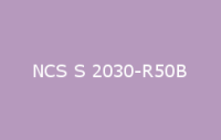 BELUSIL 030 Natursteinsilikon NCS S 2030 R50B