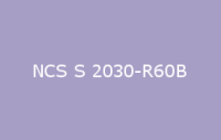BELUSIL 030 Natursteinsilikon NCS S 2030 R60B