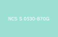BELUSIL 030 Natursteinsilikon NCS S 0530 B70G