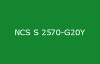 BELUSIL 030 Natursteinsilikon NCS S 2570 G20Y
