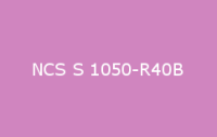 BELUSIL 030 Natursteinsilikon NCS S 1050 R40B