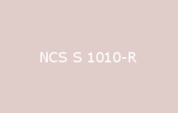 BELUSIL 030 Natursteinsilikon NCS S 1010 R