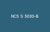 BELUSIL 030 Natursteinsilikon NCS S 5030 B