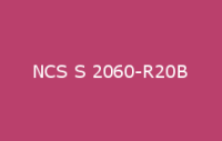 BELUSIL 030 Natursteinsilikon NCS S 2060 R20B