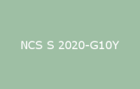 BELUSIL 030 Natursteinsilikon NCS S 2020 G10Y