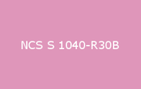 BELUSIL 030 Natursteinsilikon NCS S 1040 R30B