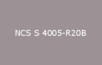BELUSIL 030 Natursteinsilikon NCS S 4005 R20B