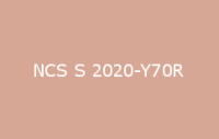 BELUSIL 030 Natursteinsilikon NCS S 2020 Y70R