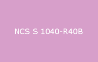 BELUSIL 030 Natursteinsilikon NCS S 1040 R40B