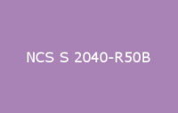 BELUSIL 030 Natursteinsilikon NCS S 2040 R50B