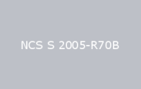 BELUSIL 030 Natursteinsilikon NCS S 2005 R70B