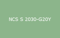 BELUSIL 030 Natursteinsilikon NCS S 2030 G20Y