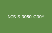 BELUSIL 030 Natursteinsilikon NCS S 3050 G30Y