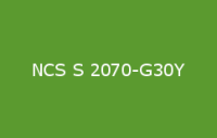 BELUSIL 030 Natursteinsilikon NCS S 2070 G30Y