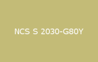BELUSIL 030 Natursteinsilikon NCS S 2030 G80Y