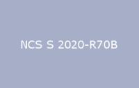 BELUSIL 030 Natursteinsilikon NCS S 2020 R70B