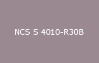 BELUSIL 030 Natursteinsilikon NCS S 4010 R30B