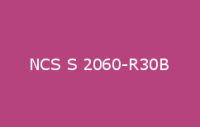 BELUSIL 030 Natursteinsilikon NCS S 2060 R30B