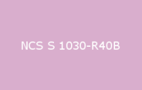 BELUSIL 030 Natursteinsilikon NCS S 1030 R40B