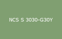 BELUSIL 030 Natursteinsilikon NCS S 3030 G30Y