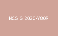 BELUSIL 030 Natursteinsilikon NCS S 2020 Y80R