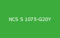 BELUSIL 030 Natursteinsilikon NCS S 1075 G20Y