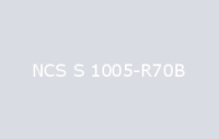 BELUSIL 030 Natursteinsilikon NCS S 1005 R70B
