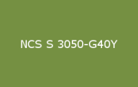 BELUSIL 030 Natursteinsilikon NCS S 3050 G40Y