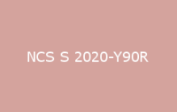BELUSIL 030 Natursteinsilikon NCS S 2020 Y90R