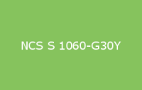 BELUSIL 030 Natursteinsilikon NCS S 1060 G30Y