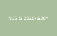 BELUSIL 030 Natursteinsilikon NCS S 2020 G30Y