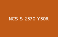 BELUSIL 030 Natursteinsilikon NCS S 2570 Y50R
