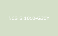 BELUSIL 030 Natursteinsilikon NCS S 1010 G30Y