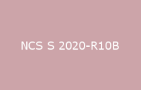 BELUSIL 030 Natursteinsilikon NCS S 2020 R10B
