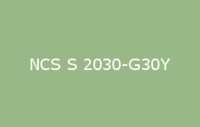 BELUSIL 030 Natursteinsilikon NCS S 2030 G30Y