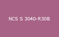 BELUSIL 030 Natursteinsilikon NCS S 3040 R30B