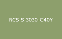 BELUSIL 030 Natursteinsilikon NCS S 3030 G40Y